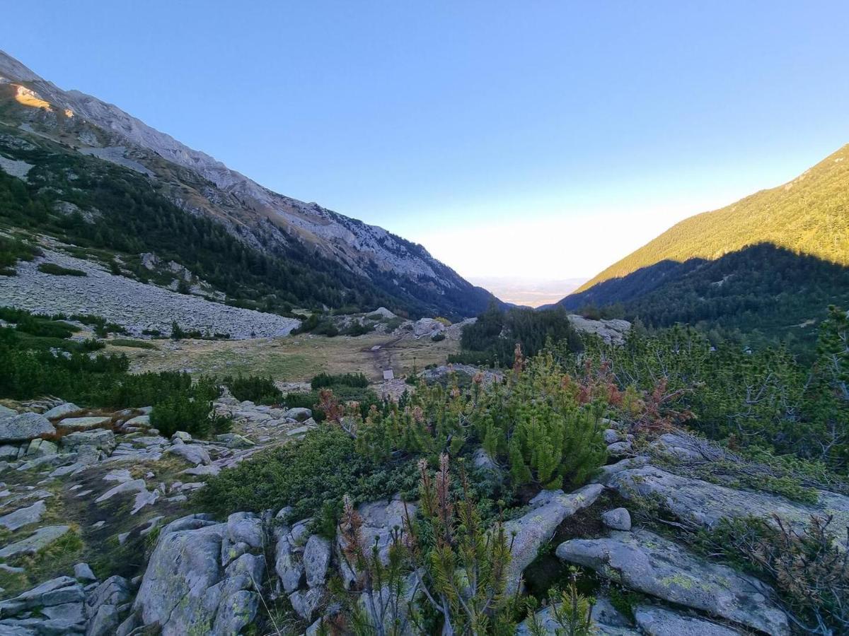 Bansko Royal Towers T&K Daire Dış mekan fotoğraf
